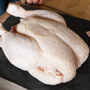 Coq