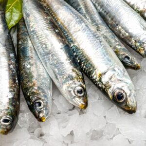 Sardine Bretonne