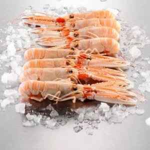 langoustine
