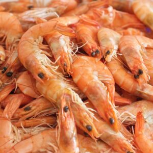 crevettes fraiches