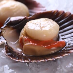 Noix de Saint-Jacques