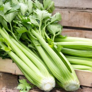 Céleri vert
