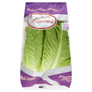 Salade romaine Lucas 2p