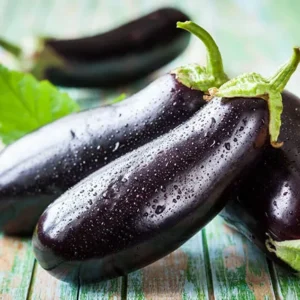 Aubergine