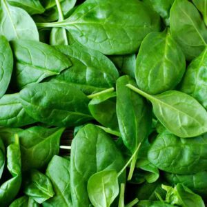 Epinard feuilles