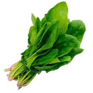 Epinards en botte