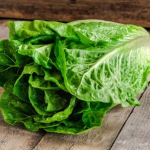 Salade Romaine