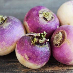 Navet Mauve